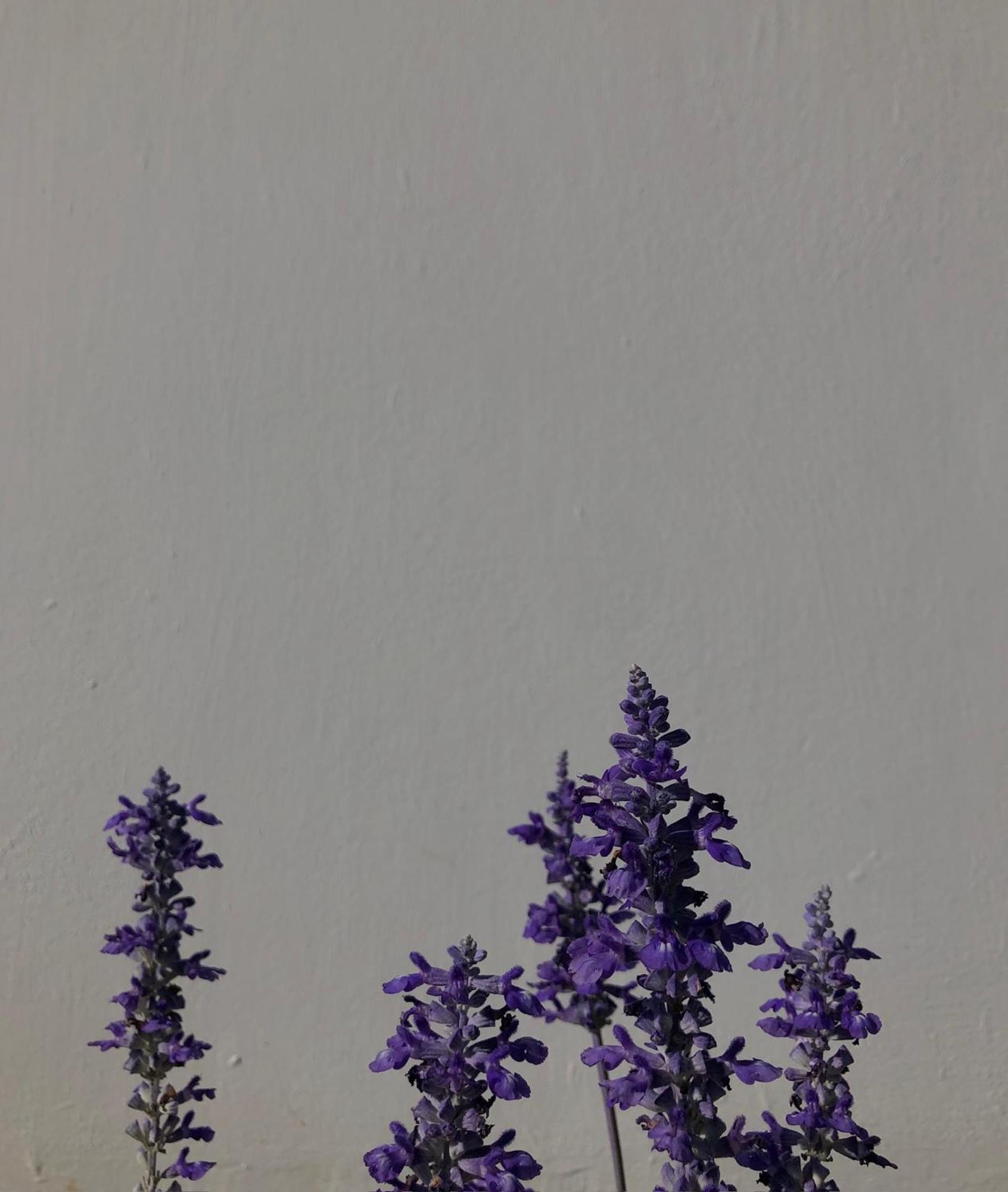 Masseria La Mandra โนซิ ภายนอก รูปภาพ