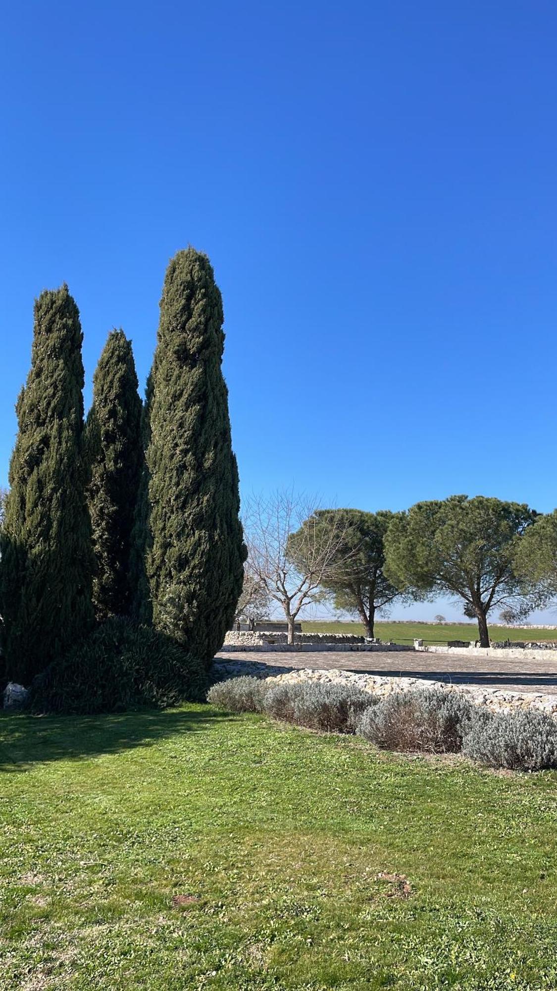 Masseria La Mandra โนซิ ภายนอก รูปภาพ